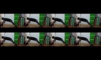 tentang olahraga push up