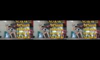 Acehbandabandabandabanda