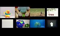 Baby Einstein Video 5 At Once