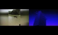 Dog yeeted into a lake
