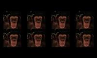monkemonkemonkemonkemonkemonke
