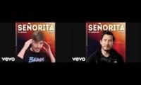 Mr Beast & Markiplier Sings Señorita