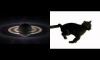 (GEN) Saturns Meow.Trid