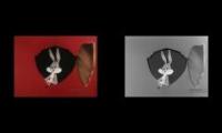 Warner Bros Television Production Bugs Bunny Comparison