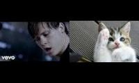 Thumbnail of Stay Together For The Cats