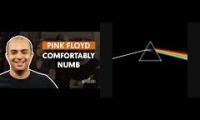 confortably numb drum