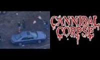 Chimp cannibal corpse mashup