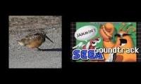 American Woodcock on Toejam and Earl music