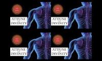 Chiropractic Care x4
