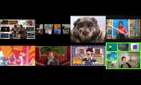 Annoying Goose Good Videos Of All Time