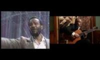 marvin mashup with ortega guitars