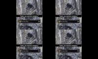 Darksoulsdancesession2