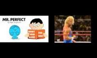 Mr perfect Vs Mr Perfect