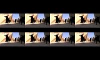The Wildebeast Stampede That Killed Mufasa
