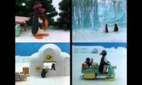 Pingu Episodes at Once Quadparison 9