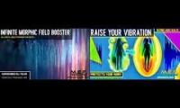 vibrational raiser morphic fields