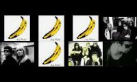 Velvet underground all songs