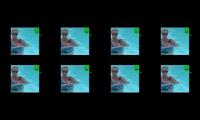funniest video compilation 2020