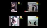funniest video compilation 2020