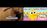 kaczka jak rammstein