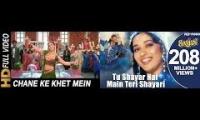 Tribute To Madhuri Dixit