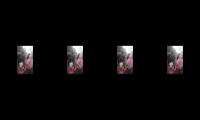 Iseng aja banget auah akkanjfkc