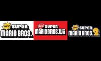 ATHLETIC NEW SUPER MARIO BROS DS WII 2