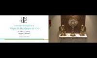 Pray to Our Lady of Guadalupe