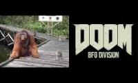When the Doom soundtrack kicks in