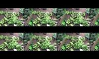 cara putar video bersamaaan