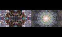 programed intention tantra and pe