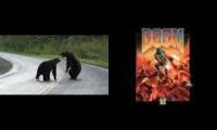 Doom Bears Doom Bears Doom Bears