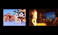 animaniacs intro comparison