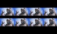DreamWorks Madagascar | Moto Moto X Gloria  - You Huge! | Madagascar: Escape 2 Africa