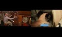HitItJoe_FirstPersonKittyCollector