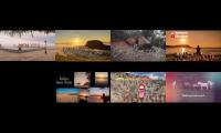 Thumbnail of Indahnya pulau timor wisata hits