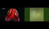Thumbnail of Deep Sea Life+Deep Sea Music