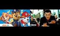 Good Charlotte paw patrol