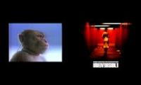 that awful feeling after watching irreversible