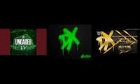 wwe theme song the DX