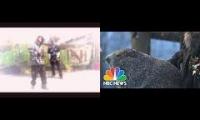 Thumbnail of Knob gobbler Punxsutawney Phil