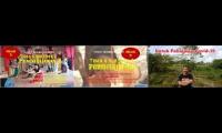 parpal poerwanto youtube multipliyer