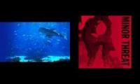 minor aquarium threat
