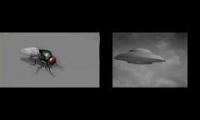 Fly Video Fly Video Fly Video