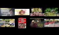 BSL Project, Bsl Project, Bsl Project, Bsl Project, Bsl Project, Bsl Project, Bsl Project, Bsl Proje