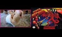 Thumbnail of Pigstar_metroid_pigs