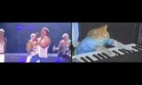 Combo Test Epic Man Cat