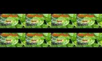 Pothos Plants Healthy Benefits