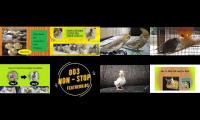 FeatherKids-Set00122-AllVideos