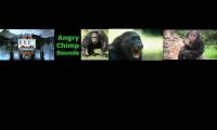 Thumbnail of Testing again for the error